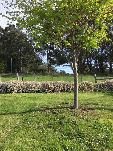 Nextdoor@portarthur - Nambucca Heads Accommodation 17