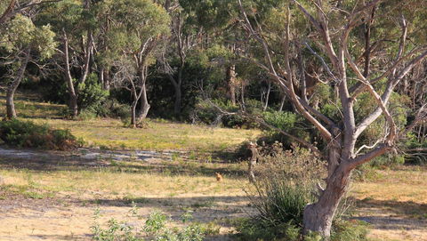 BAY OF FIRES SEACHANGE Ocean Frontage - Nambucca Heads Accommodation 12