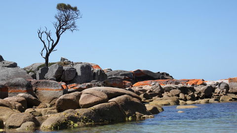 BAY OF FIRES SEACHANGE Ocean Frontage - Nambucca Heads Accommodation 21