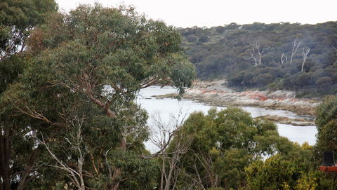 BAY OF FIRES SEACHANGE Ocean Frontage - Nambucca Heads Accommodation 15