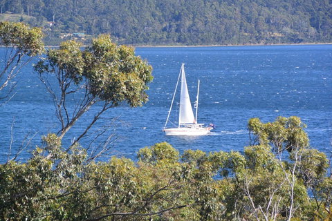 The Tree House - Nambucca Heads Accommodation 5
