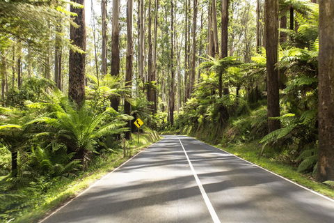 Peppers Marysville - Nambucca Heads Accommodation 21