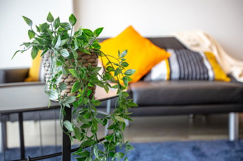 Brand New One/Two - Bed Room Apartment @ Maribyrnong - Nambucca Heads Accommodation 0