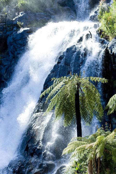 Tower Motel Marysville - Nambucca Heads Accommodation 23