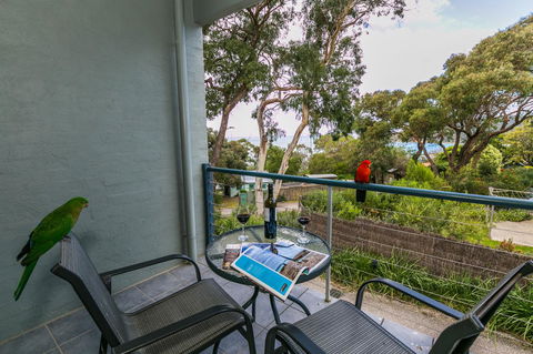 Lorne Surf Apartments - Nambucca Heads Accommodation 21