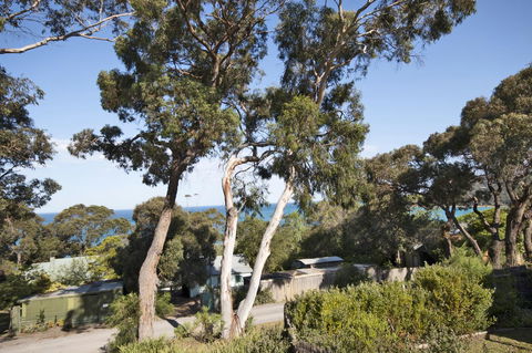 Lorne Surf Apartments - Nambucca Heads Accommodation 11