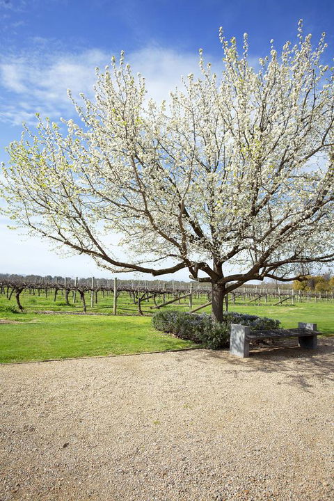 Lancemore Milawa - Nambucca Heads Accommodation 12