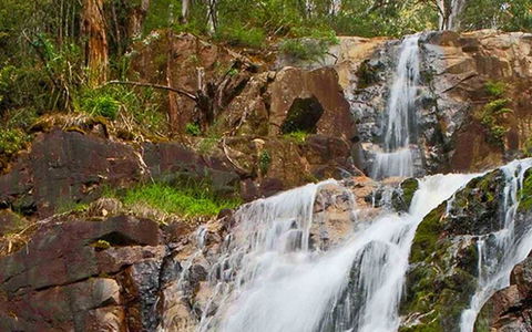 Marysville Caravan And Holiday Park - Nambucca Heads Accommodation 37