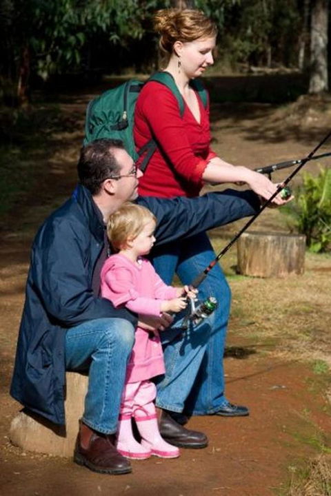 Marysville Caravan And Holiday Park - Nambucca Heads Accommodation 22