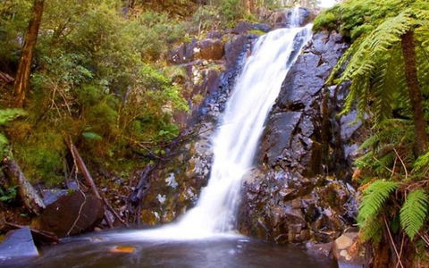 Marysville Caravan And Holiday Park - Nambucca Heads Accommodation 32