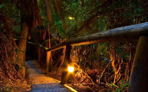 Marysville Caravan And Holiday Park - Nambucca Heads Accommodation 27