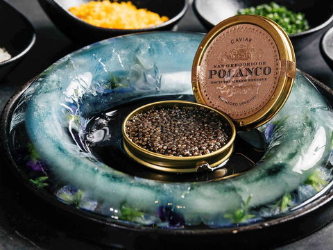 Sofitel Melbourne On Collins - Nambucca Heads Accommodation 41