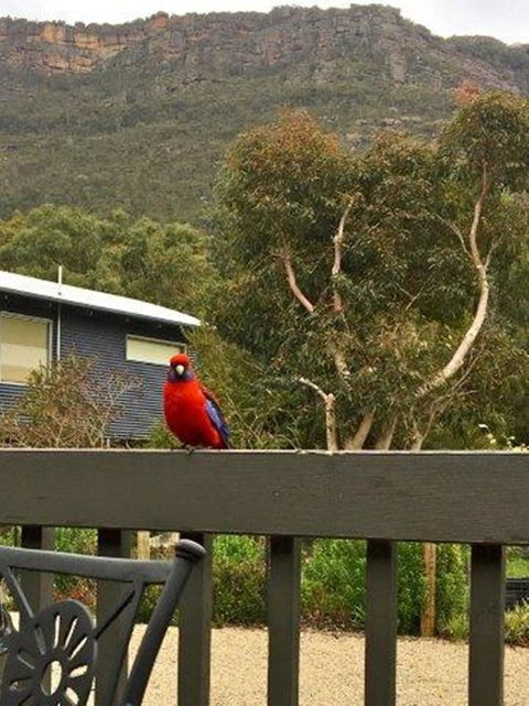 Kangurra Holiday House - Nambucca Heads Accommodation 15