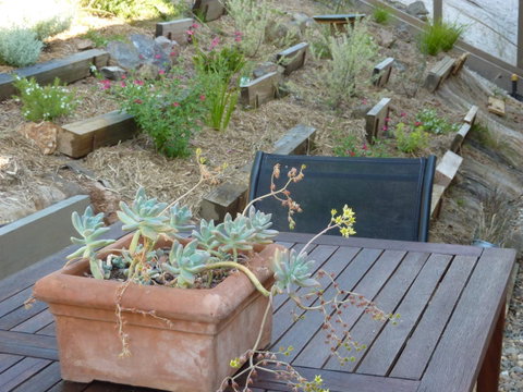 Saje\'s House & Pod - Nambucca Heads Accommodation 12