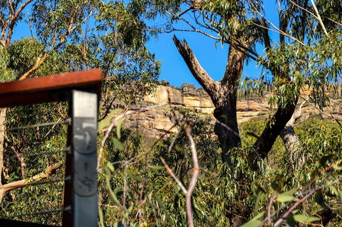 Blue Ridge Retreat - Nambucca Heads Accommodation 14