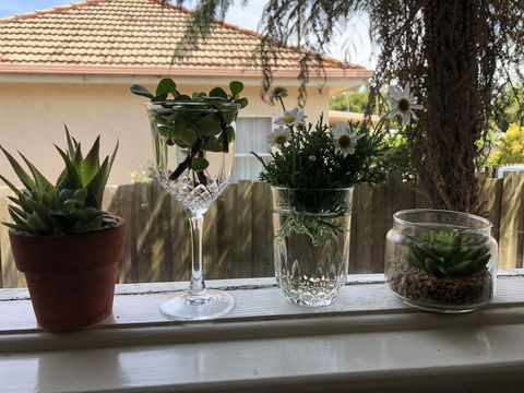 Growse House Yarram 3BR - Nambucca Heads Accommodation 10