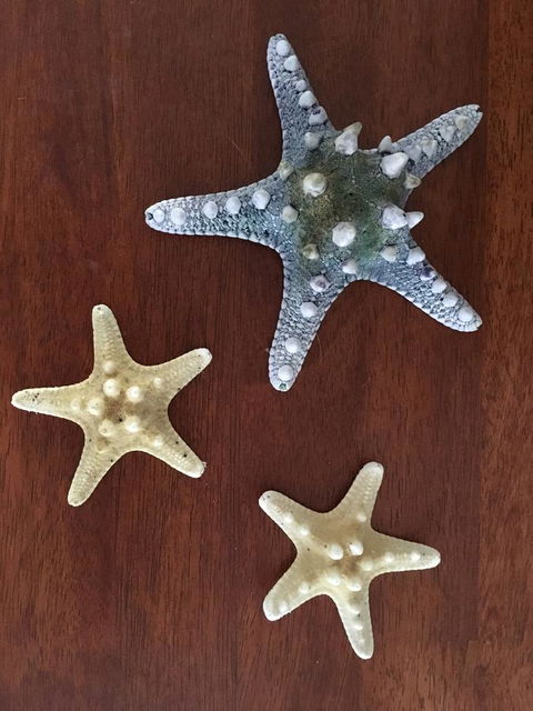 Ocean View Beach House - Nambucca Heads Accommodation 2