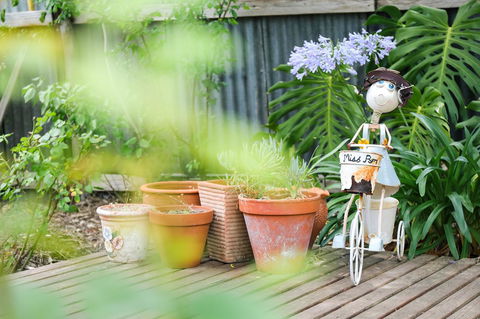Miss Pym's Cottage - Nambucca Heads Accommodation 7