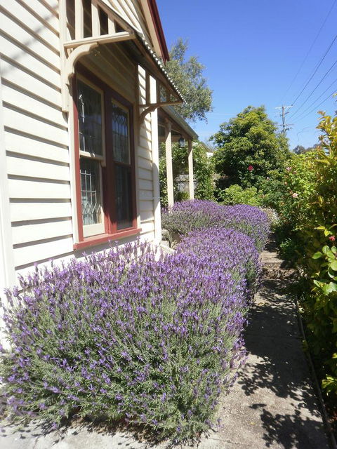 Miss Pym's Cottage - Nambucca Heads Accommodation 44