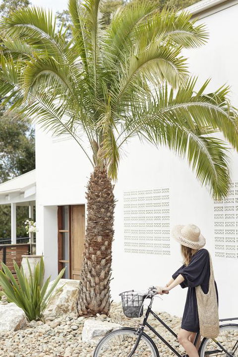 The Brunswick, Brunswick Heads - Nambucca Heads Accommodation 2