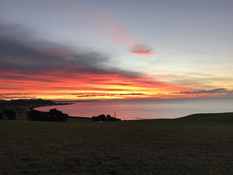 The Cove Tasmania - Nambucca Heads Accommodation 1