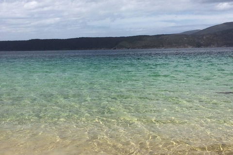 The Cove... On The Rocks At Port Arthur - Nambucca Heads Accommodation 1