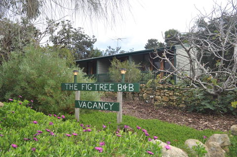 The Fig Tree B&B - Nambucca Heads Accommodation 0