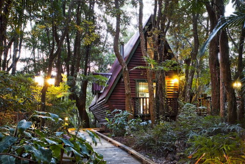 The Mouses House Rainforest Retreat - Nambucca Heads Accommodation 1