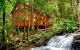 The Mouses House Rainforest Retreat - thumb 0