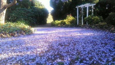 The Old Church Bed And Breakfast - Nambucca Heads Accommodation 2