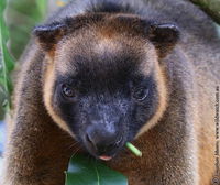 Book Ravenshoe Accommodation Vacations Nambucca Heads Accommodation Nambucca Heads Accommodation