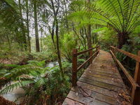 Book Tanybryn Accommodation Vacations Nambucca Heads Accommodation Nambucca Heads Accommodation