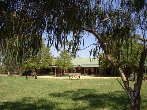 The Vineyard Motel - Nambucca Heads Accommodation 0