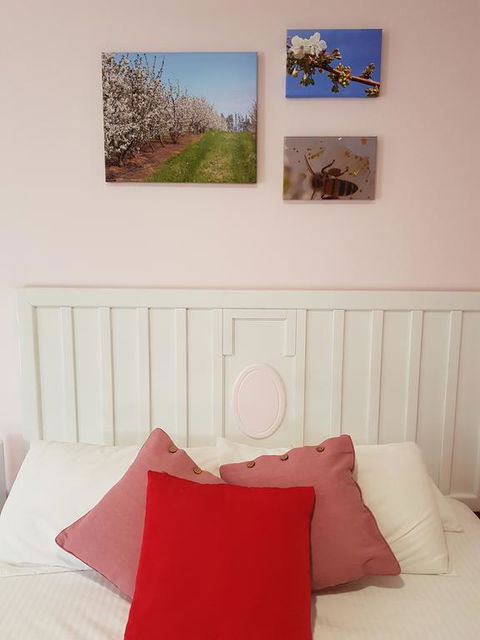 Town House Motor Inn Young - Nambucca Heads Accommodation 1