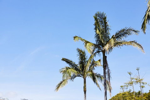 Town And Country Motel - Nambucca Heads Accommodation 1