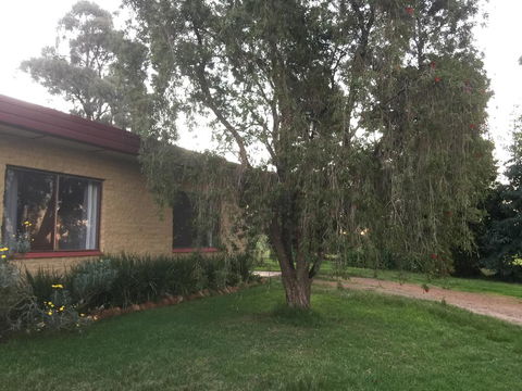 Tree Of Love Farm Stay - Nambucca Heads Accommodation 1
