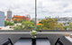 Views To Die For// Studio Rushcutters Bay // Free Parking - thumb 2
