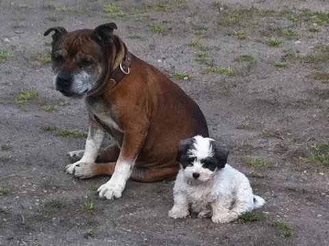 Walcha Royal Cafe & Accommodation - Nambucca Heads Accommodation 3