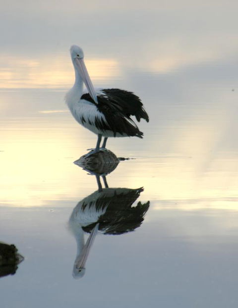 Wanderers Rest Of Kangaroo Island - Nambucca Heads Accommodation 3