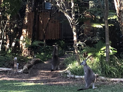 Wanderers Retreat - Nambucca Heads Accommodation 2