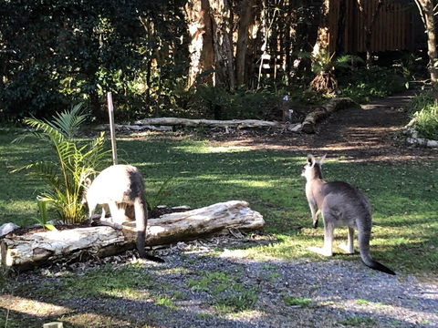 Wanderers Retreat - Nambucca Heads Accommodation 3