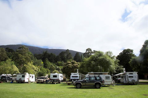 Warburton Holiday Park - Nambucca Heads Accommodation 0