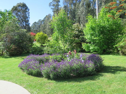 Amelina Cottages - Nambucca Heads Accommodation 32