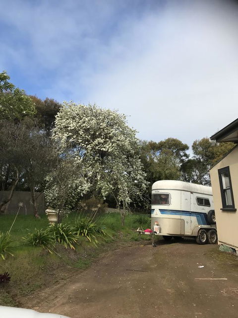 Hillâ€™s Creek Holiday Home - Nambucca Heads Accommodation 6