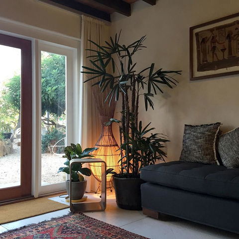 Be&be Castlemaine - Nambucca Heads Accommodation 1