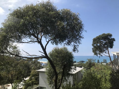 Lorne Sea View Terrace House - Nambucca Heads Accommodation 26