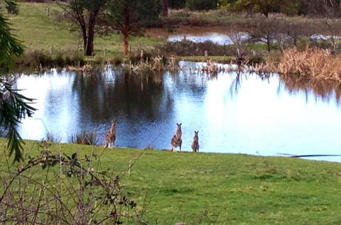 Australian Home Away @ Wonga Park Brushy Creek - Nambucca Heads Accommodation 17