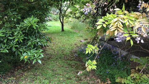 Lorelei Bed & Breakfast - Nambucca Heads Accommodation 10