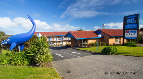 Blue Whale Motor Inn & Apartments - Nambucca Heads Accommodation 0
