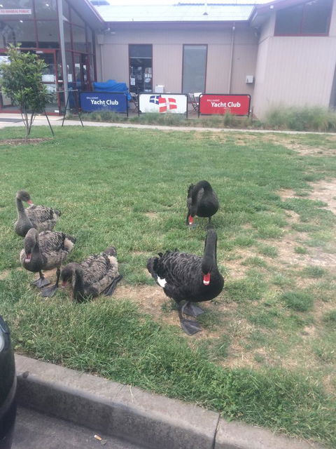 Ambassador Motor Inn - Nambucca Heads Accommodation 29